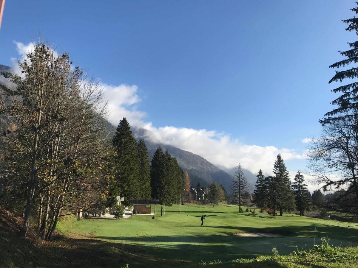 Auredius Deluxe Apartment Kranjska Gora Kültér fotó